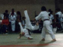 img065dio.jpg