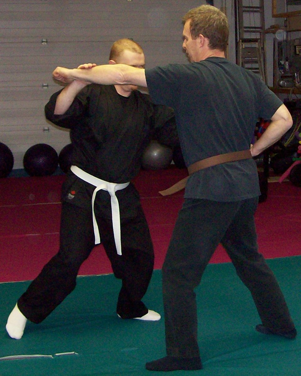 todd_denis_jujutsu.jpg